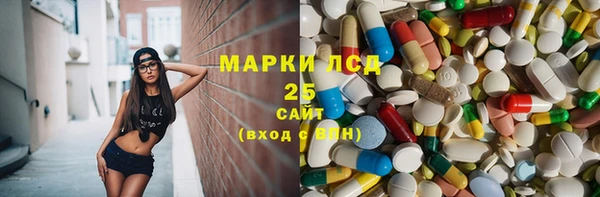 индика Абаза