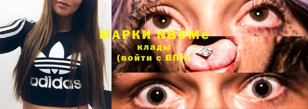 индика Абаза