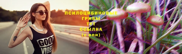 МДПВ Абдулино