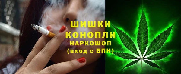 индика Абаза