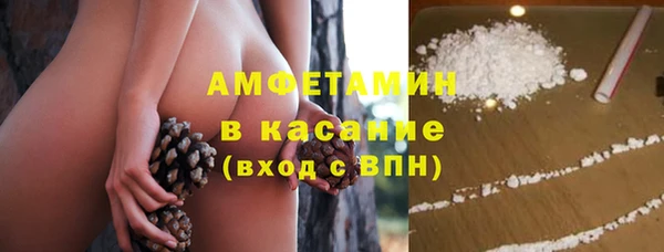 индика Абаза