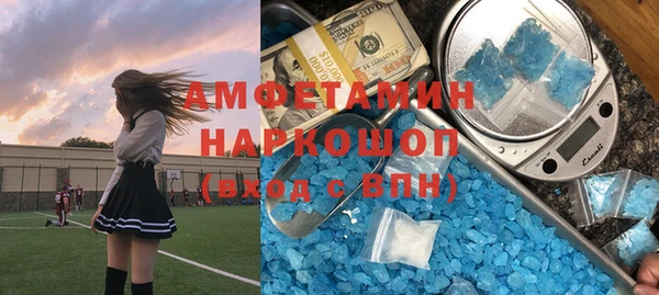 индика Абаза