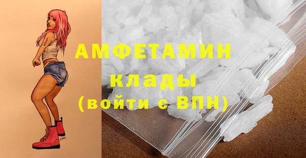 индика Абаза