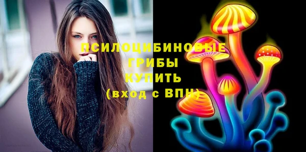 МДПВ Абдулино
