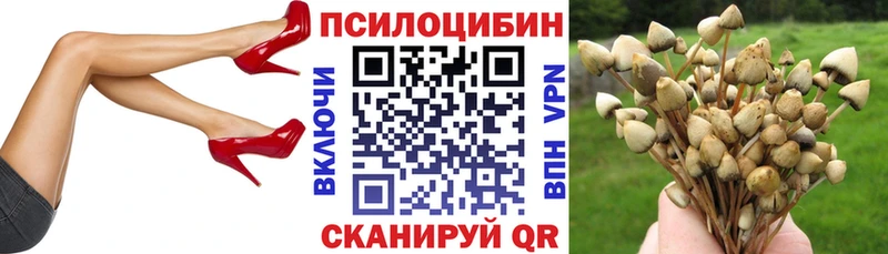 hydra ССЫЛКА  Тюмень  Галлюциногенные грибы прущие грибы 